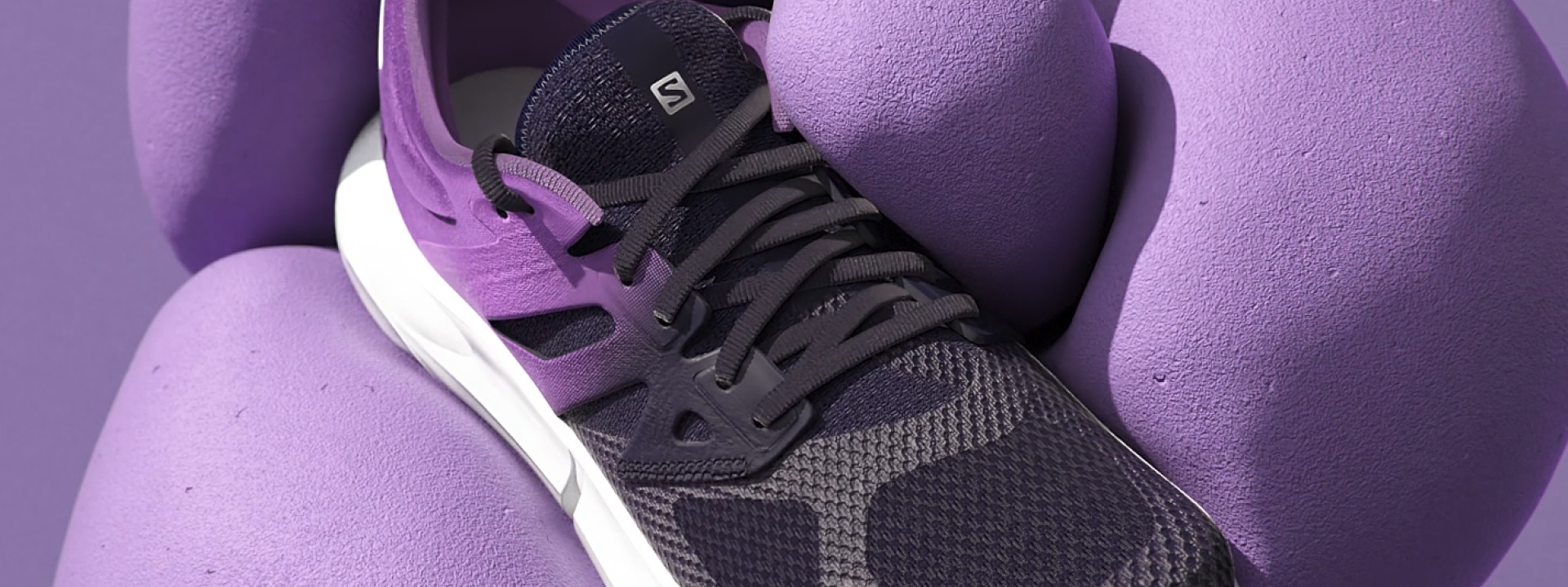 Salomon_COVER_project